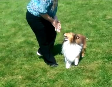 Here I am giving my dog a non-verbal release cue t