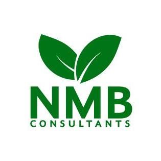 NMB Consultants