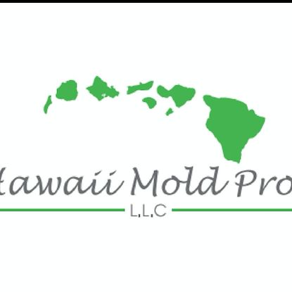 Hawaii Mold Pros llc