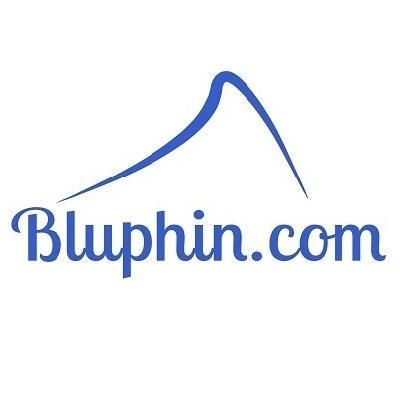 Bluphin.com Computer Repair