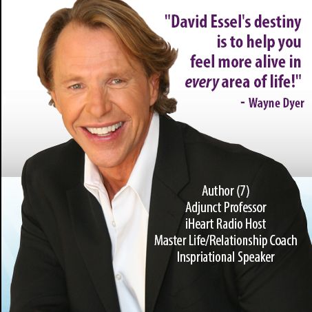 David Essel Enterprises, Inc.  Master Life Coach
