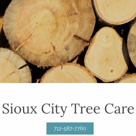 Sioux City's Best Tree Service