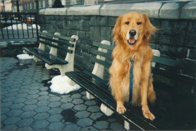 Eli on the bench