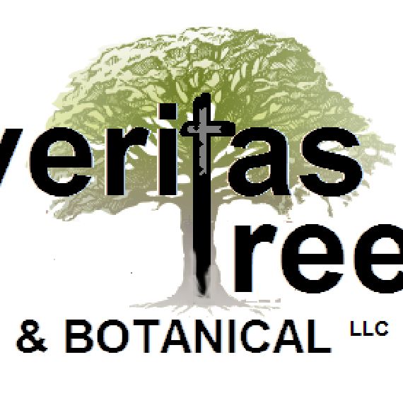 Veritas Tree & Botanical LLC