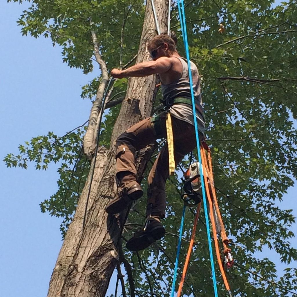 Victory Tree Service