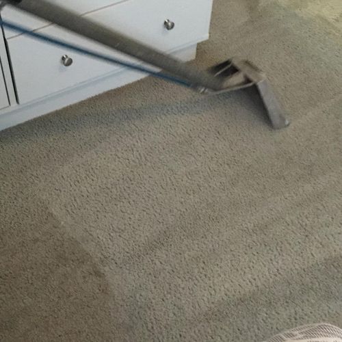 cleaning of carpet shows difference in color from 