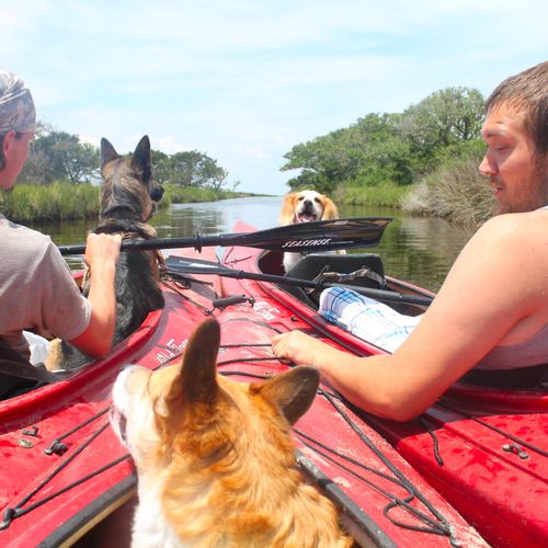 Kayaking in NC,Dogs and Yaks were meant to go toge