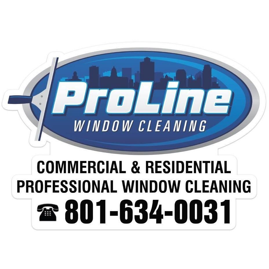 Pro Line Window Cleaning
