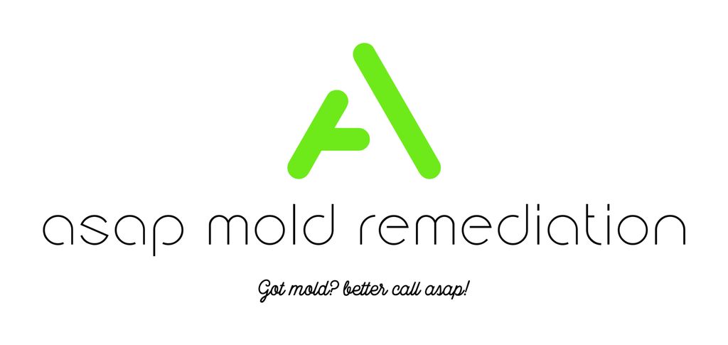 ASAP Mold Remediation LLC