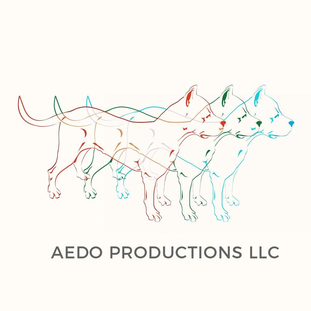 Aedo Productions LLC