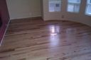 Maple wood Flooring