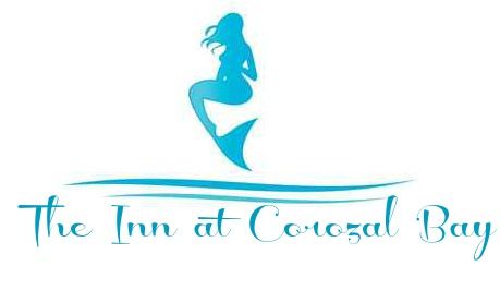 Logo Creation and Branding