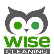 Wise Cleaning Service