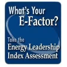 Your E-Factor is the result of a life changing att