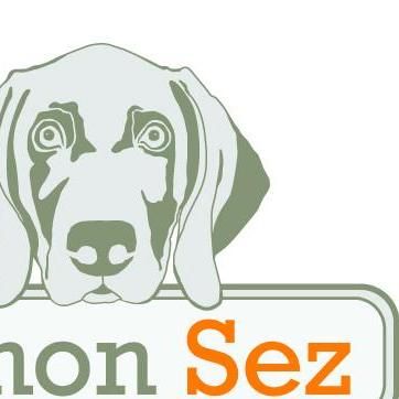 Simon Sez, LLC