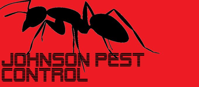 The Logo!