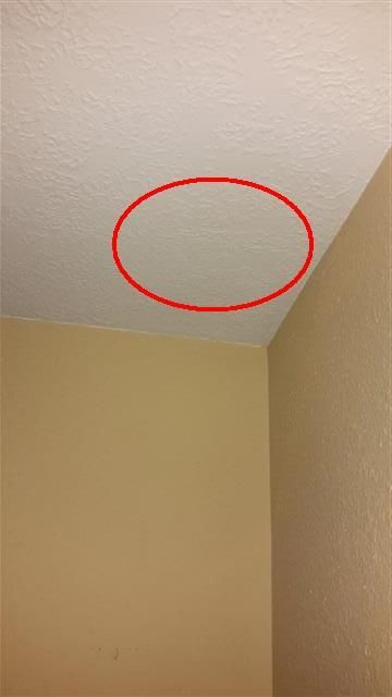 FLIR detects moisture