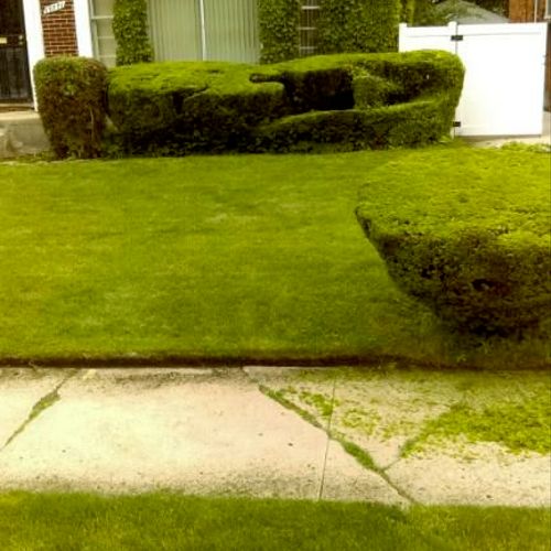 HEDGES AND LAWN SERVICED BY MR.& MRS.SMITH
