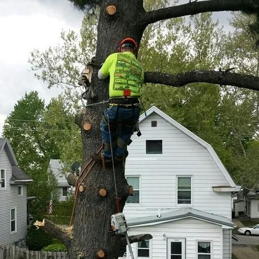 Total Tree Service