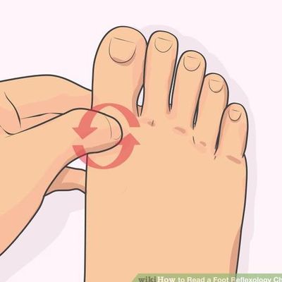 Avatar for Paul Rohacek, certified reflexologist