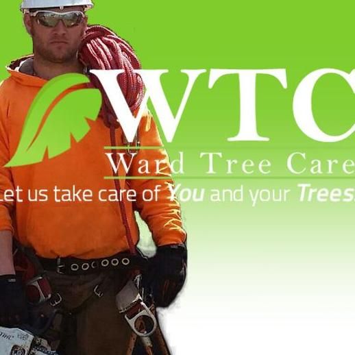Ward Tree Care