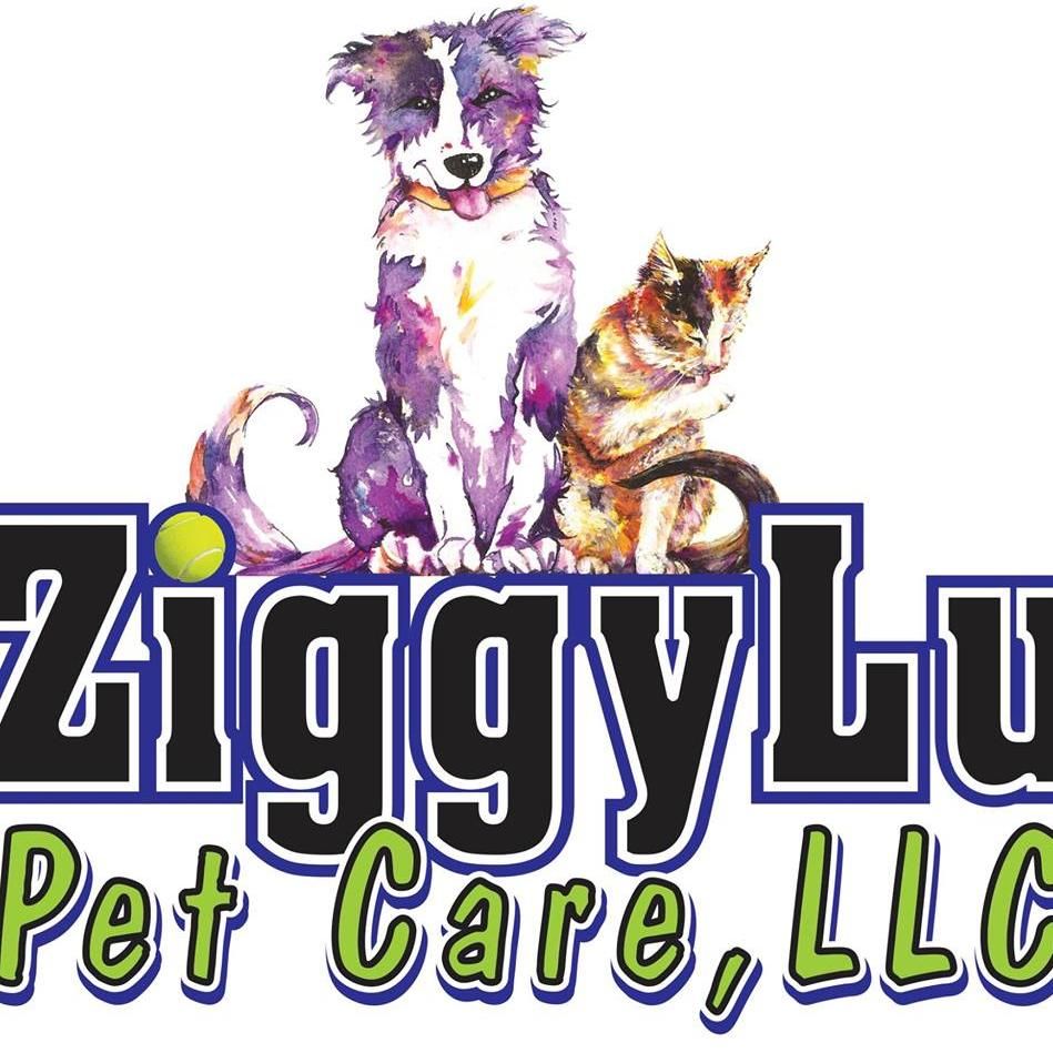 ZiggyLu Pet Care