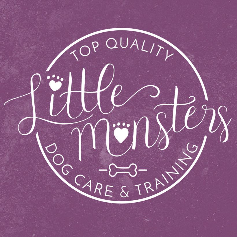 Little Monsters: Top Quality Dog Care & Training