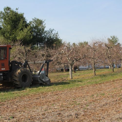 Apple Orchard removal and we do not change the soi