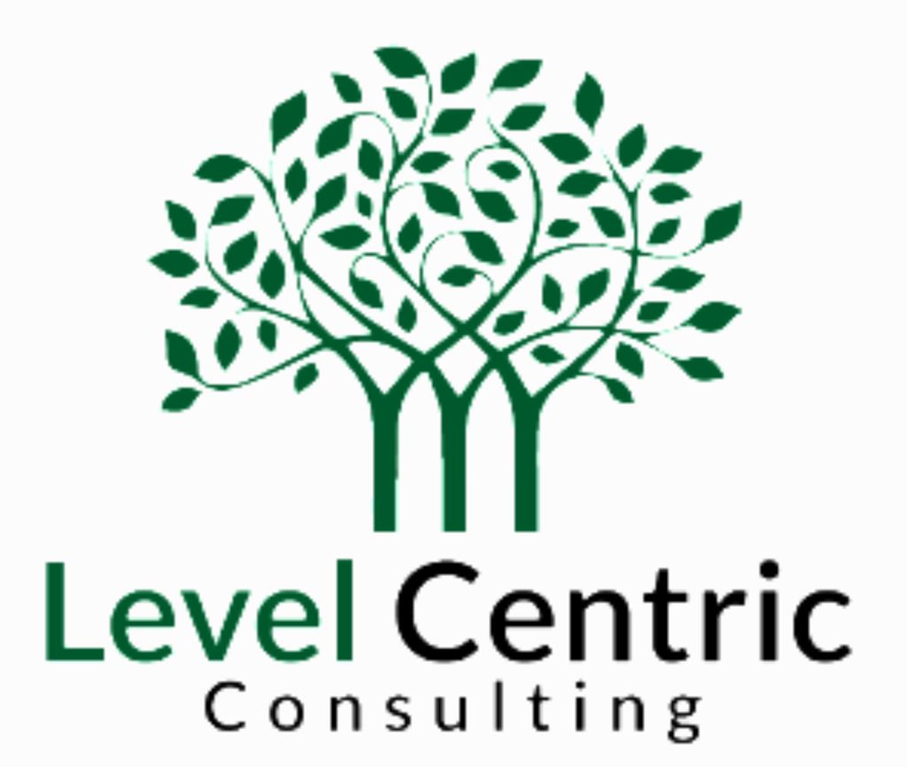 Level Centric Consulting