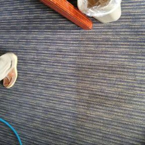 A single carpet cleaning pass on the left and befo