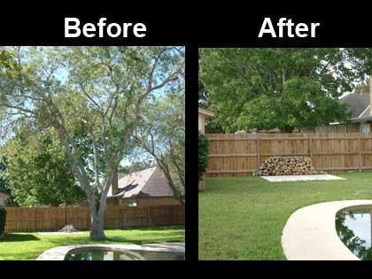 Tree & stump removal with sod.