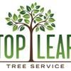Top Leaf Tree Service
