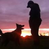 Avatar for Kentucky Dog Training LLC
