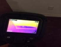 Infrared cameras are used to assist in finding aff