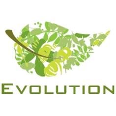 Evolution Professional Services