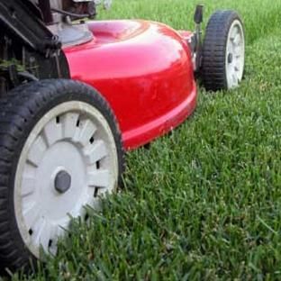 Clean Green Lawn Care