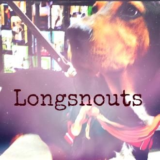 Longsnouts