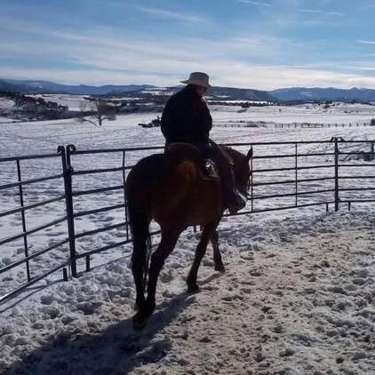 Cowgirl Country Horsemanship