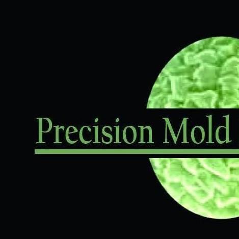 Precision Mold Remediation