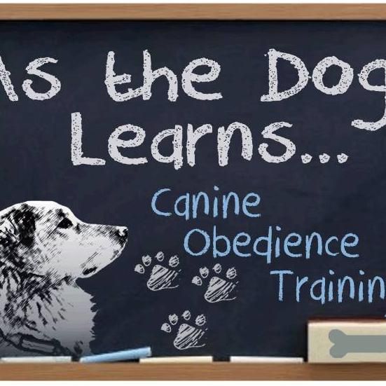 As the Dog Learns Canine Obedience Training