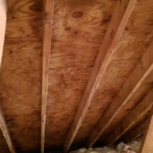 AFTER: attic mold growth