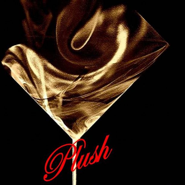 Plush Bartending Services