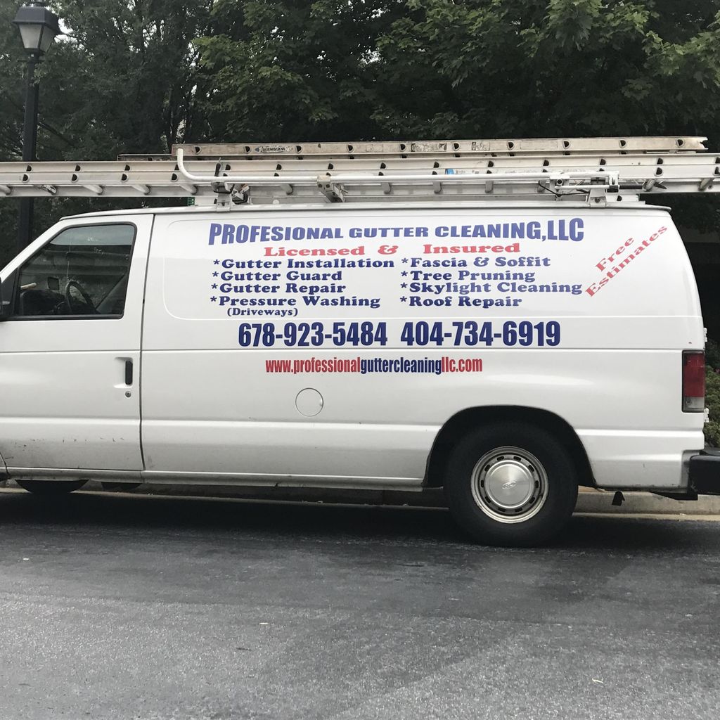 Professional Gutter Cleaning LLC