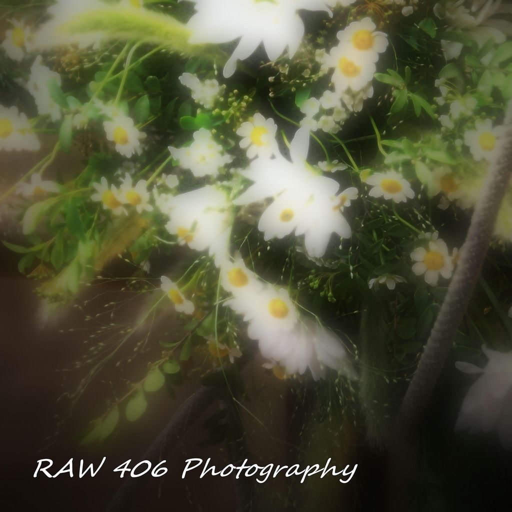 RAW 406 Photography