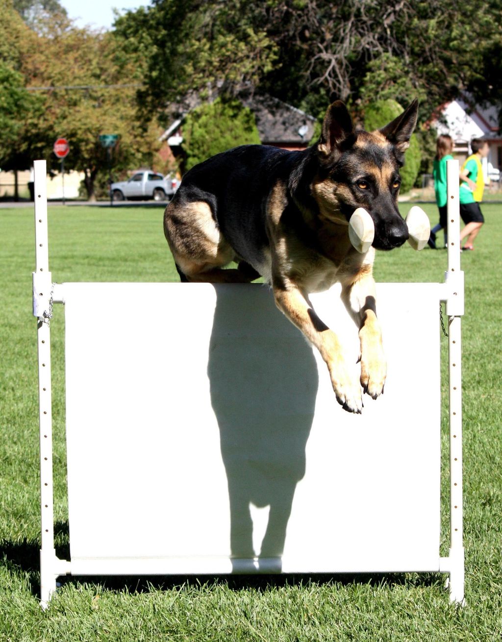 My pride and joy Erda Oppenhemer CD RN doing a hig