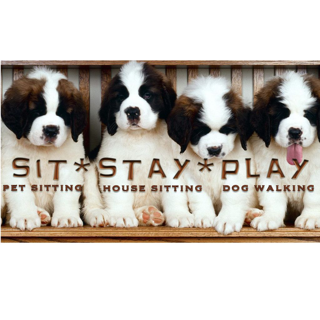 Sit Stay Play Dog Walking and Pet Sitting