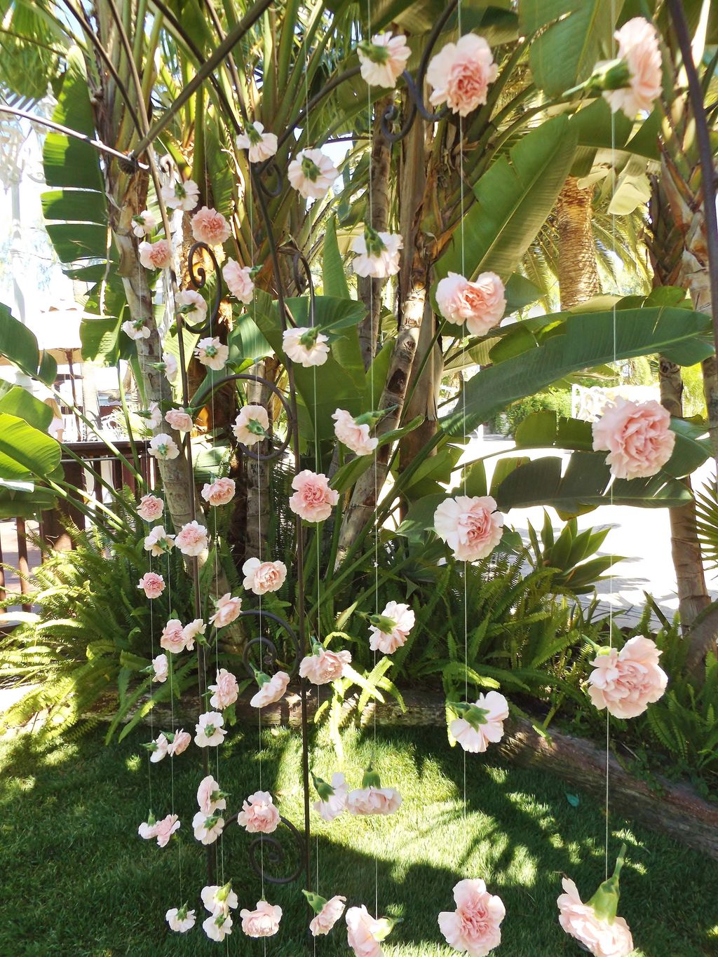 A flower curtain made of blush carnations, so roma
