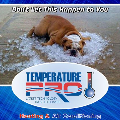 Stay cool with TemperaturePro!