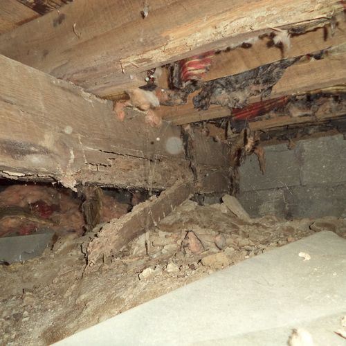 Termite damage found in the crawlspace.