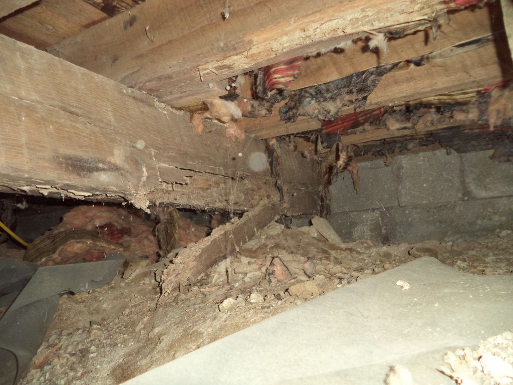 Termite damage found in the crawlspace.